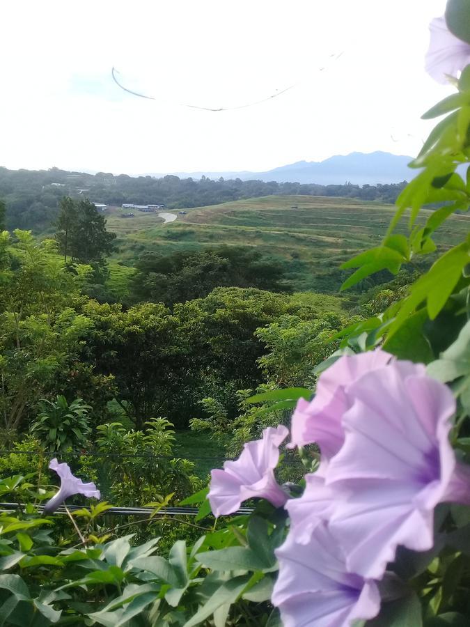 Rancha Azul Inn Alajuela Eksteriør bilde
